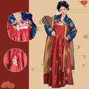 Tang Dynasty Inspired Hanfu Dress