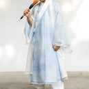 Boys' Blue Printed Wei-Jin Dyneaty Hanfu