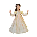 Girls Embroidery Dress Hanfu Traditional Chinese Dress