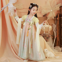 Girls Embroidery Dress Hanfu Traditional Chinese Dress