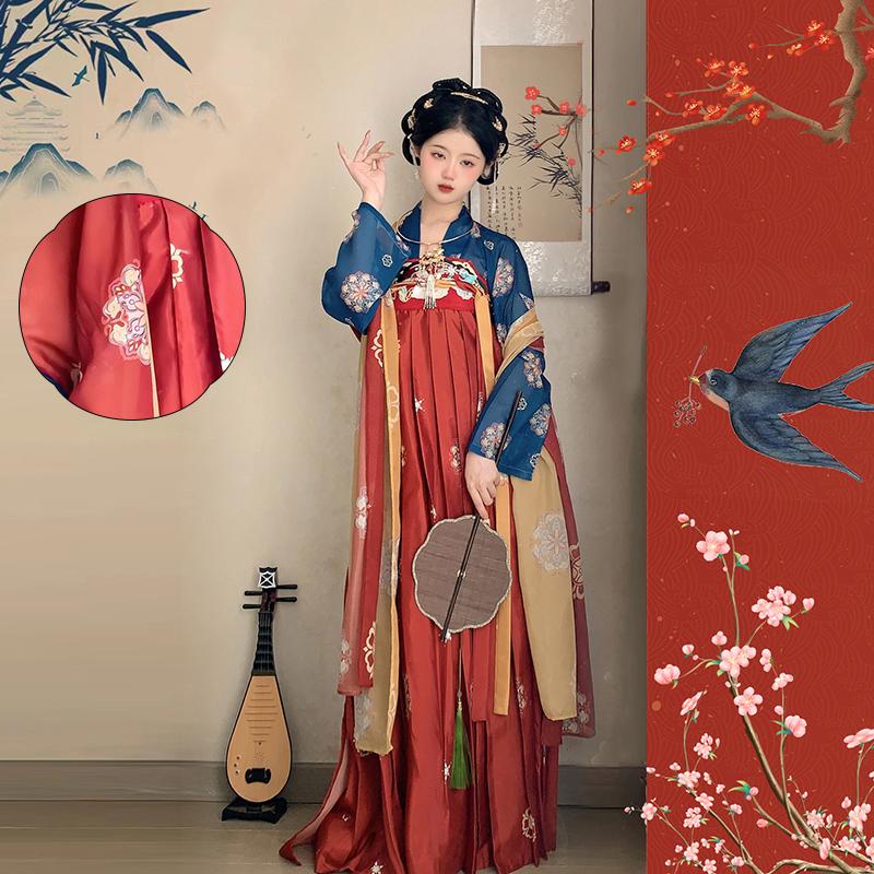 Tang Dynasty Inspired Hanfu Dress