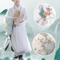 Children's Hanfu - traditional cultural clothing with scholarly motifs