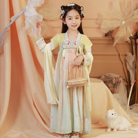 Girls Embroidery Dress Hanfu Traditional Chinese Dress