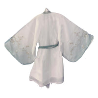 Children's Hanfu - traditional cultural clothing with scholarly motifs