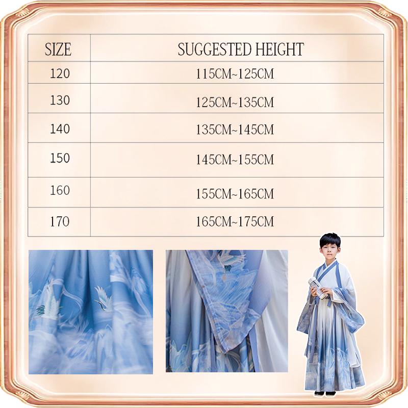 Boys' Light Blue Chinese Costume